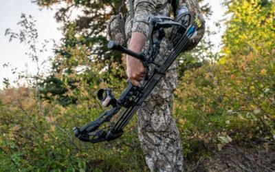 5 Best Bow Stabilizers for Hunting