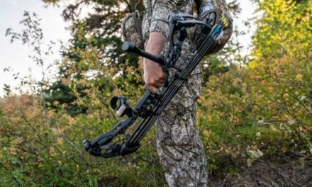 5 Best Bow Stabilizers for Hunting