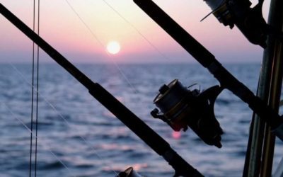 5 Charter Fishing Trips That Show the Featured Variety of American Fisheries