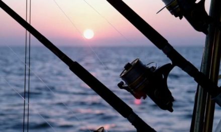 5 Charter Fishing Trips That Show the Featured Variety of American Fisheries