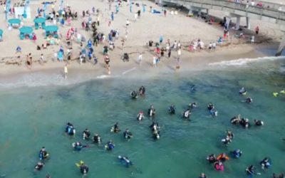 633 Divers Break World Record for Biggest Underwater Cleanup