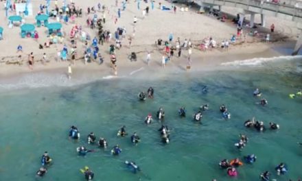 633 Divers Break World Record for Biggest Underwater Cleanup