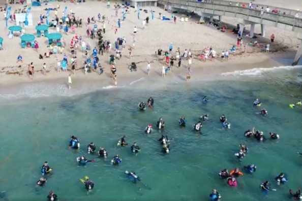 633 Divers Break World Record for Biggest Underwater Cleanup