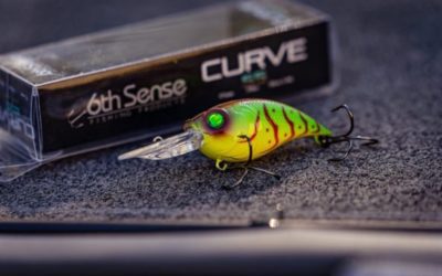 6th Sense Lures: Everything You Wanted to Know
