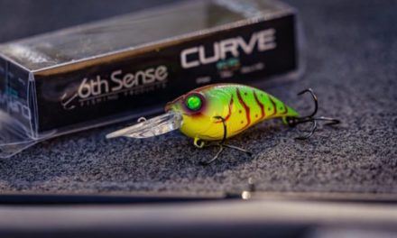 6th Sense Lures: Everything You Wanted to Know