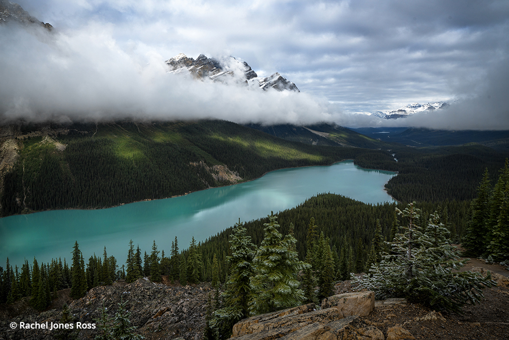 Image of fall snow in the Canadian Rockies