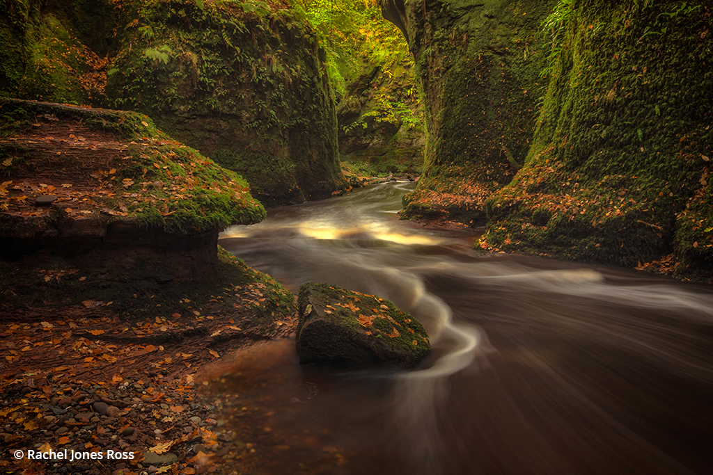 Photo of a river and gorge in Scotland during fall