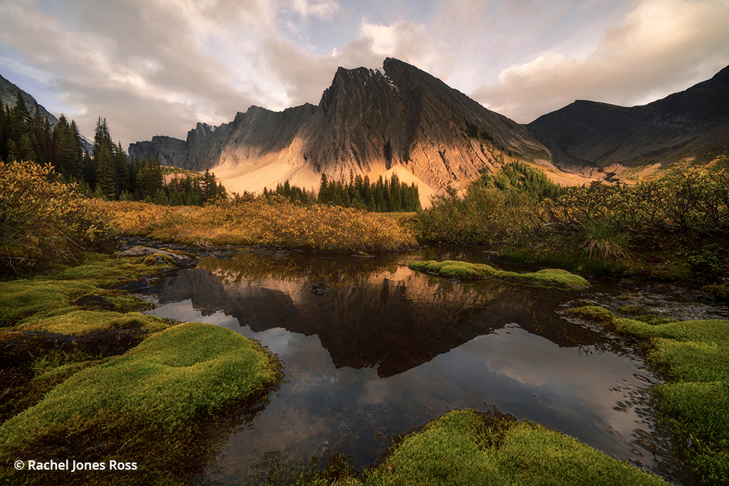 Photo illustrating Autumn in the Canadian Rockies