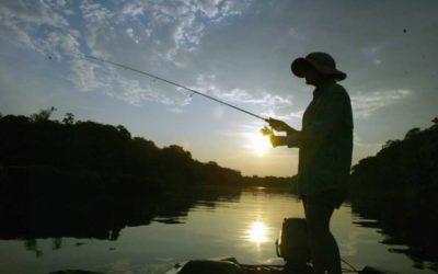 Best Cocktails for After a Day of Fishing