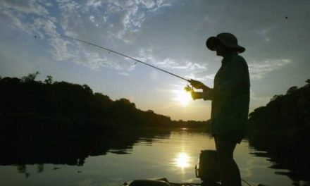 Best Cocktails for After a Day of Fishing