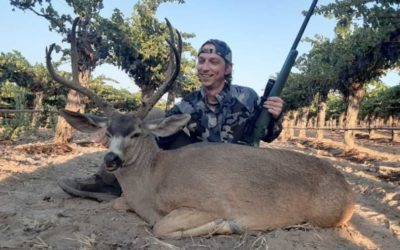 Blacktail Buck in Wine Country: Deer Hunting at Steinbeck Vineyards in Southern California