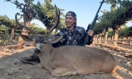 Blacktail Buck in Wine Country: Deer Hunting at Steinbeck Vineyards in Southern California