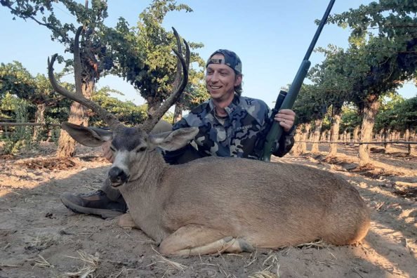 Blacktail Buck in Wine Country: Deer Hunting at Steinbeck Vineyards in Southern California