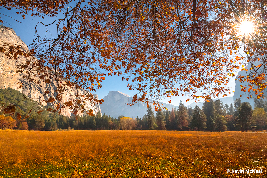 Fall photography in Yosemite National Park