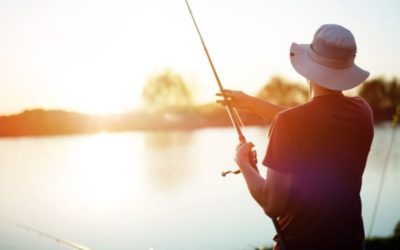 Fishing Supplies: Baits, Hooks, and Gear to Always Have at the Ready