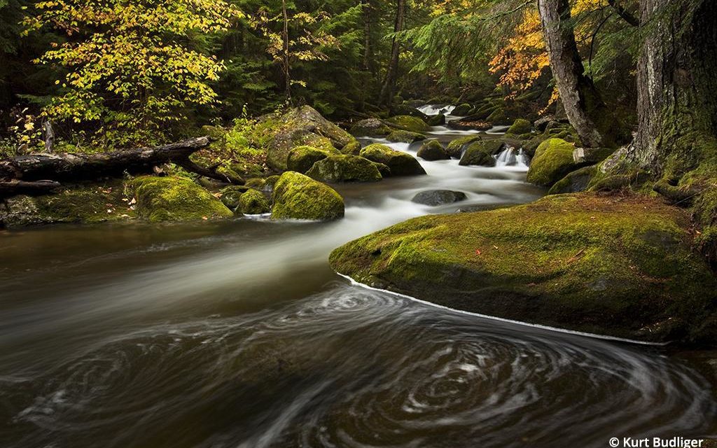 Get Ready For Fall Photography