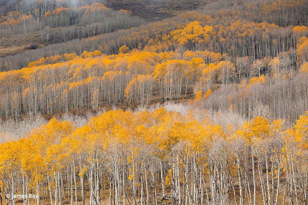 southern Utah fall color