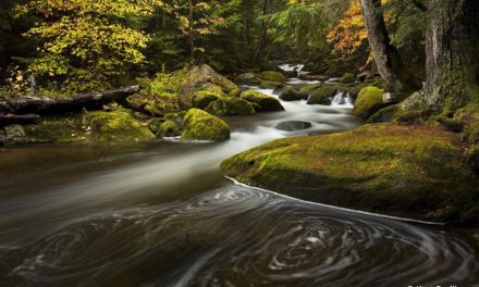 Get Ready For Fall Photography