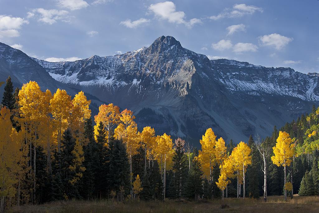 Colorado Fall Color - Mt. Sneffels Wilderness