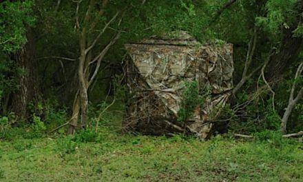 Ground Blinds for Bow Hunting: 6 Options That Will Help You Bag That Big Buck