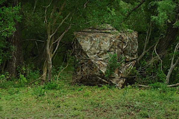 Ground Blinds for Bow Hunting: 6 Options That Will Help You Bag That Big Buck