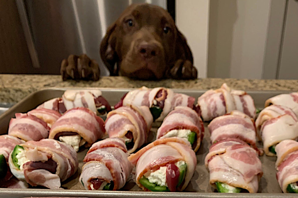 How to Breast a Dove and Make Amazing BaconWrapped Jalapeno Poppers Outdoor Enthusiast