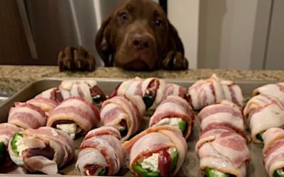 How to Breast a Dove and Make Amazing Bacon-Wrapped Jalapeno Poppers