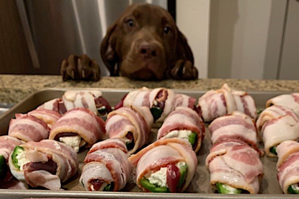 How to Breast a Dove and Make Amazing Bacon-Wrapped Jalapeno Poppers
