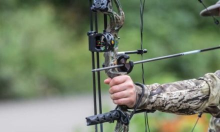How to Choose the Best Hunting Bows for Girls