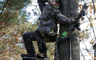 How to Determine the Right Placement for Your Treestand