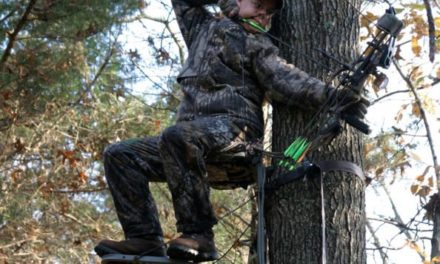How to Determine the Right Placement for Your Treestand