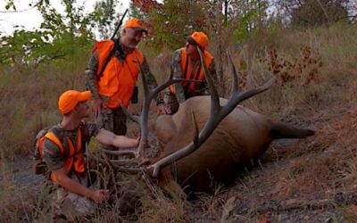 Kentucky Elk Hunting 101: How to Bag a Bull in the Bluegrass State