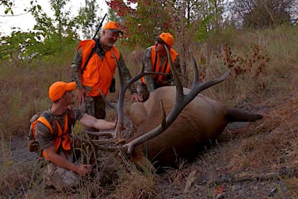 Kentucky Elk Hunting 101: How to Bag a Bull in the Bluegrass State