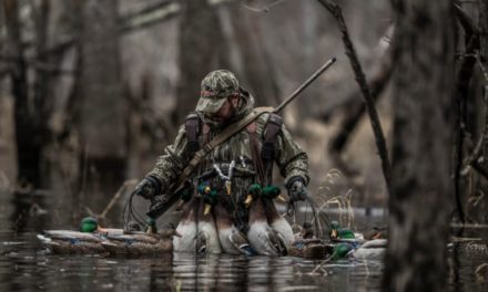 Louisiana Duck Hunting 101: Where to Go, What to Know