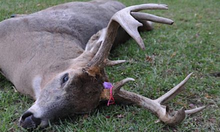 Michigan’s Deer Combo License Explained and De-Mystified