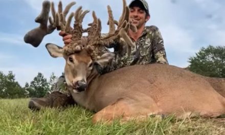 Monster Non-Typical Whitetail Bagged By Early Season Hunter in Georgia