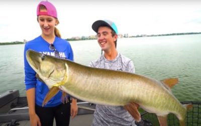 Muskellunge: Profiling the Fish of 1,000 Casts