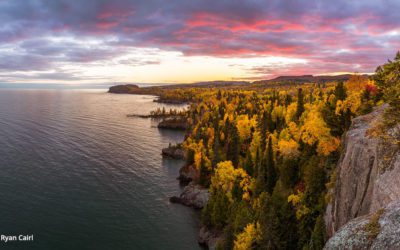 Photo Of The Day By Ryan Cairl