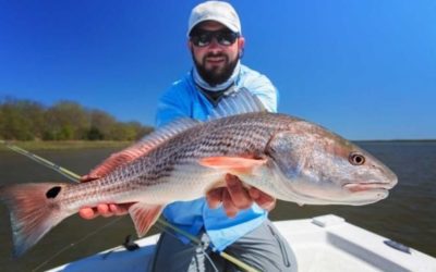 Red Drum Fishing Tips for Beginners