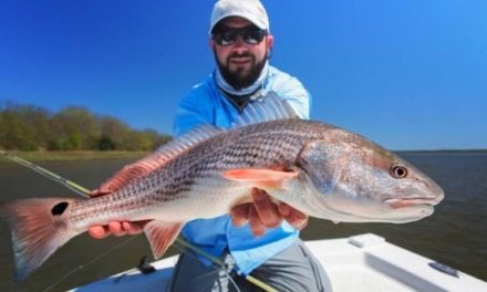 Red Drum Fishing Tips for Beginners