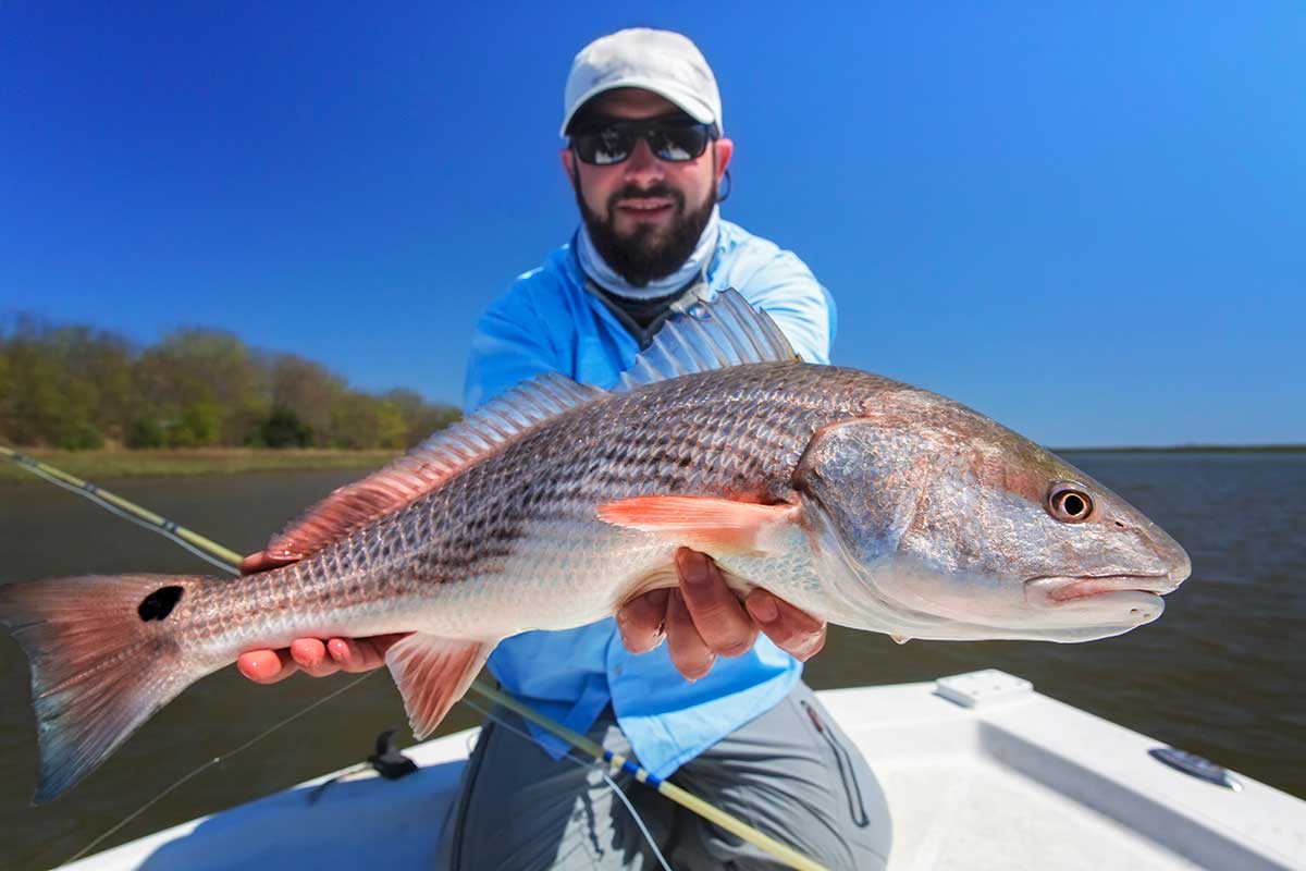 Red Drum Fishing Tips for Beginners Outdoor Enthusiast Lifestyle Magazine