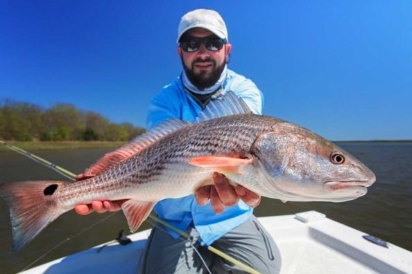 Red Drum Fishing Tips for Beginners