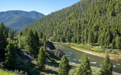 Remains of Idaho Bowhunter Missing for 53 Years Discovered by Another Hunter