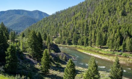 Remains of Idaho Bowhunter Missing for 53 Years Discovered by Another Hunter