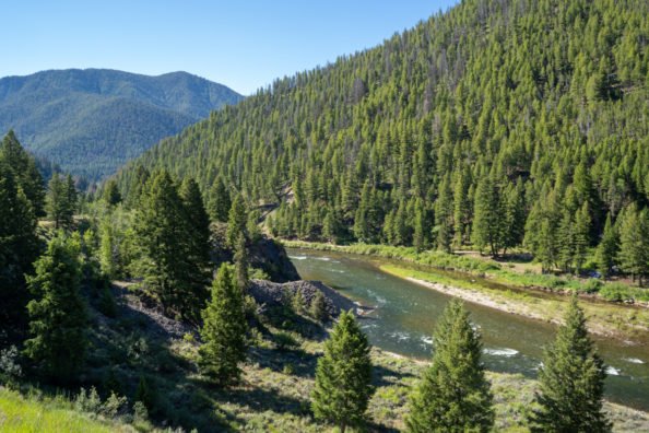 Remains of Idaho Bowhunter Missing for 53 Years Discovered by Another Hunter