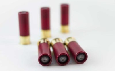 Shotgun Slugs: The Different Types and Practical Uses of Each