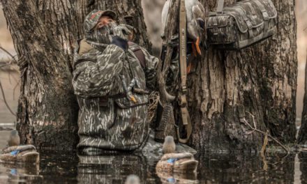 The 7 Best Duck Calls for the Marsh, Field, and Timber