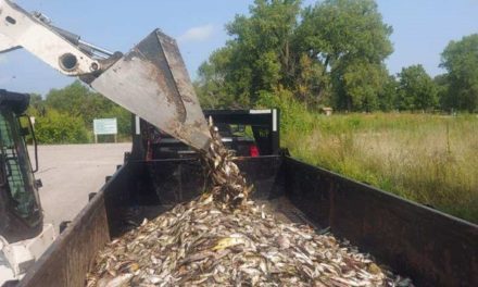 Two Rivers Trout Lake Renovation