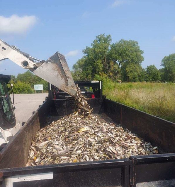 Two Rivers Trout Lake Renovation