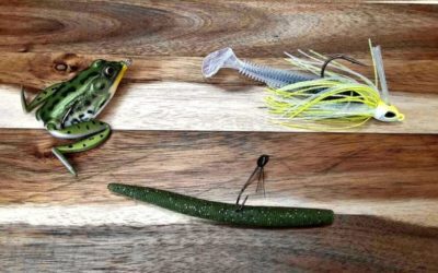 Weedless Bass Lure: What It Does, and a Few Good Choices